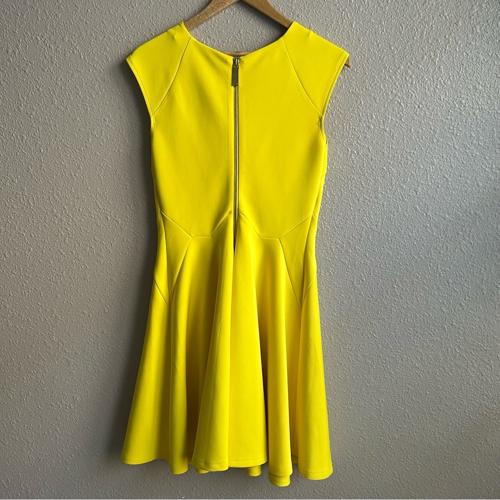 Ted Baker London Sew In Love Yellow Arwyn Panelled Sleeveless Skater‎ Dress - Picture 5 of 13